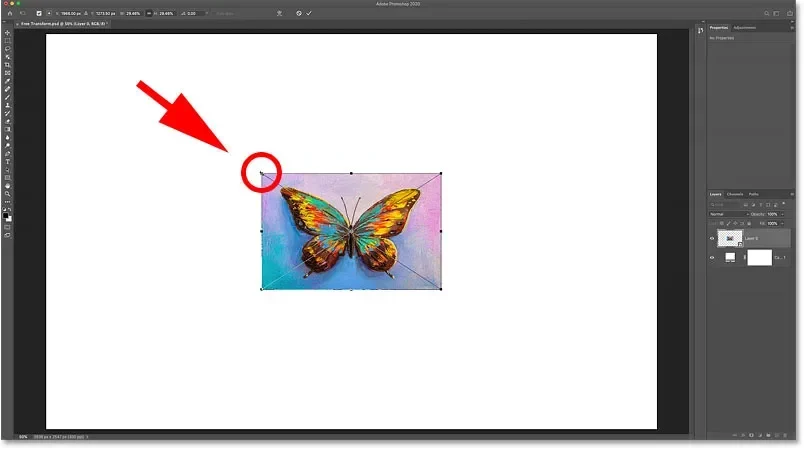 Como usar a Transformação Livre no Photoshop | ::Tutoriais Photoshop::