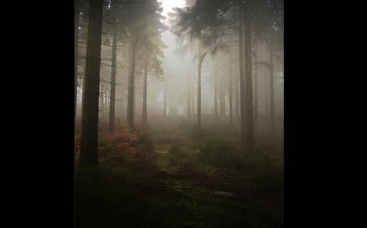 Montagem no Photoshop: Garota na floresta - Tutoriais Photoshop
