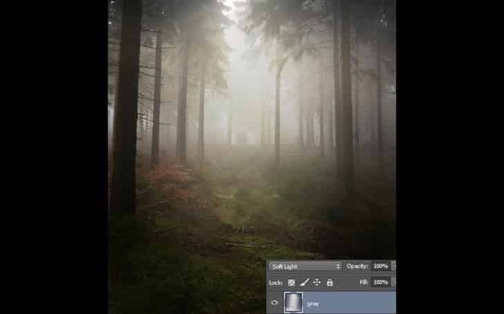 Montagem no Photoshop: Garota na floresta - Tutoriais Photoshop