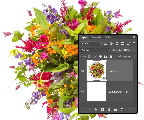 Composição Floral Tipográfica | Tutoriais Photoshop