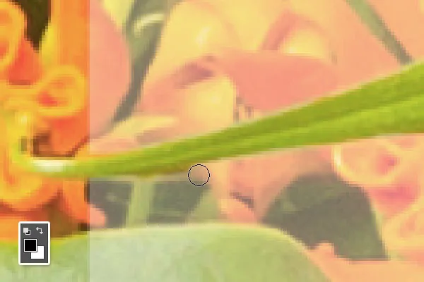 Composição Floral Tipográfica | Tutoriais Photoshop