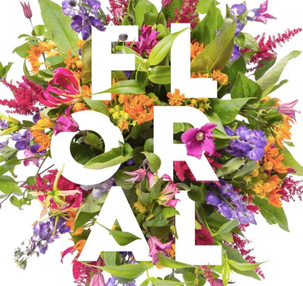 Composição Floral Tipográfica | Tutoriais Photoshop