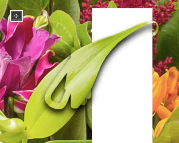 Composição Floral Tipográfica | Tutoriais Photoshop