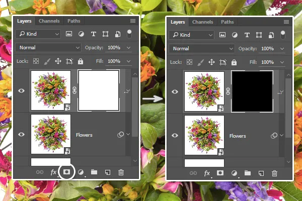 Composição Floral Tipográfica | Tutoriais Photoshop