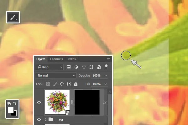 Composição Floral Tipográfica | Tutoriais Photoshop